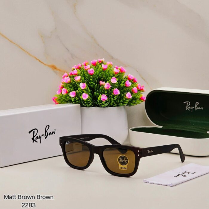 495a65a7 fa8a 4304 853b dc4816d37494 https://sunglasses-store.in/product/ray-ban-glass-2283/