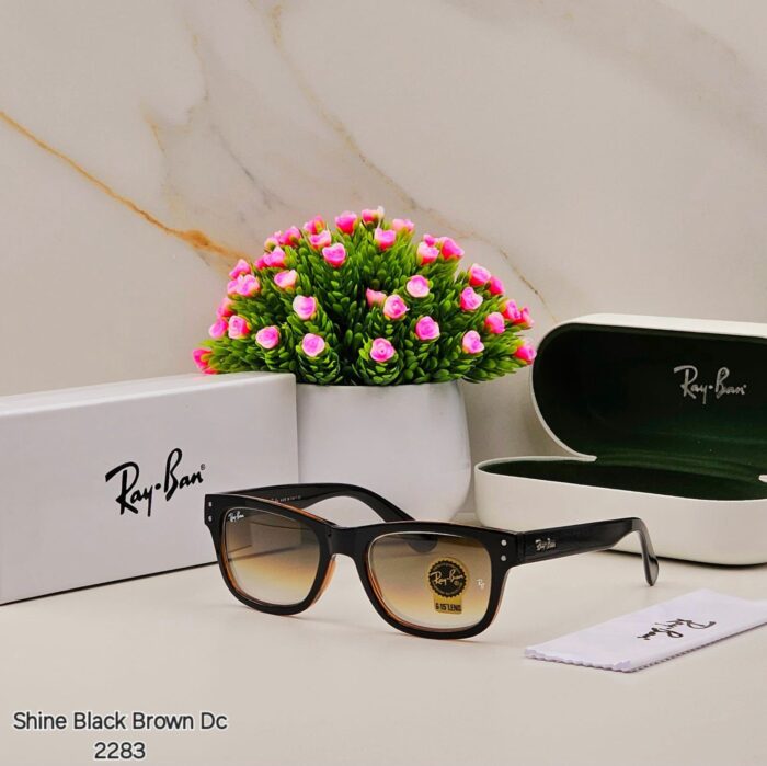 8ceaa72c 78f9 43c2 80d7 77f694c00bf8 https://sunglasses-store.in/product/ray-ban-glass-2283/