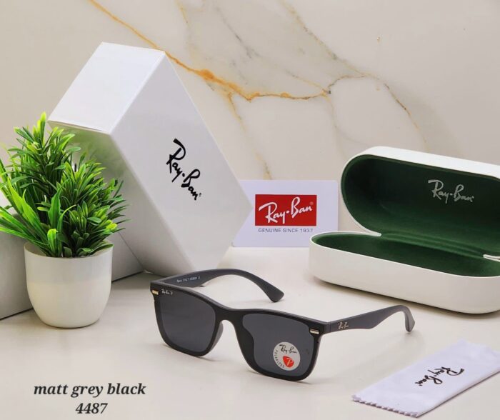 a93886df c44f 4b81 a2e6 d9be9fbf77ff https://sunglasses-store.in/product/ray-ban-polorise-4487/