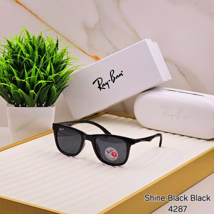 0fca663f c850 45ec 823b 7b05947311d3 https://sunglasses-store.in/product/ray-ban-polorise-4287/