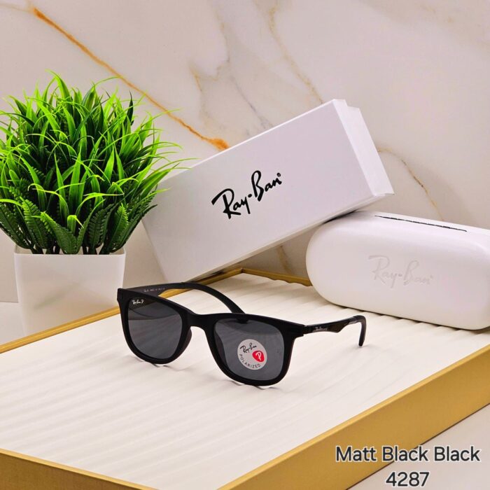 5fa17113 64b6 4546 9a58 dcedde8062ef https://sunglasses-store.in/product/ray-ban-polorise-4287/