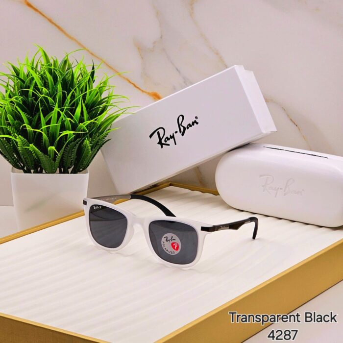 60acfaf0 c2e3 49b4 bb75 21877bbce6f6 https://sunglasses-store.in/product/ray-ban-polorise-4287/