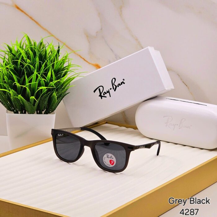 67747201 25ef 4355 938d bae8965bd7d0 https://sunglasses-store.in/product/ray-ban-polorise-4287/