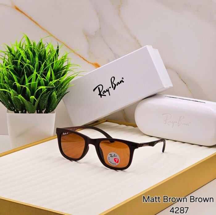 bebb5c04 ccd9 499e 82b9 478747790e4e https://sunglasses-store.in/product/ray-ban-polorise-4287/