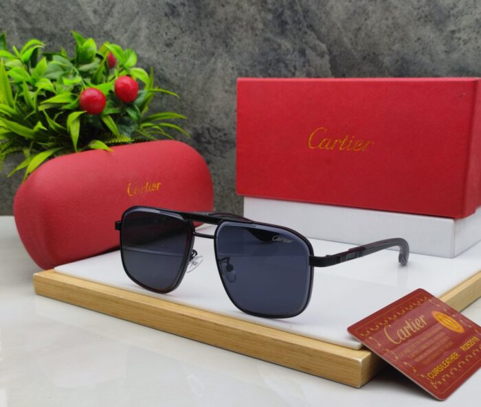 c2b5b209 7552 4f73 8c0b a3a61c71d1a5 https://sunglasses-store.in/product/cartier-68377/